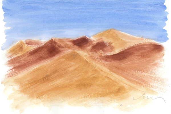 galeria-ecolatras (11) galeria-ecolatras (11)