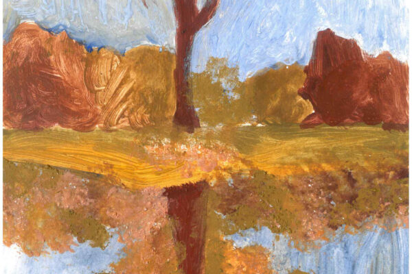 galeria-ecolatras (12) galeria-ecolatras (12)