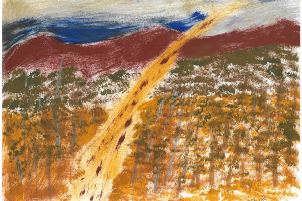 galeria-ecolatras (15) galeria-ecolatras (15)