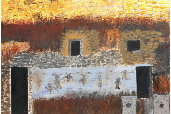 galeria-ecolatras (17) galeria-ecolatras (17)