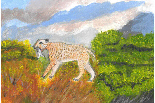 galeria-ecolatras (18) galeria-ecolatras (18)