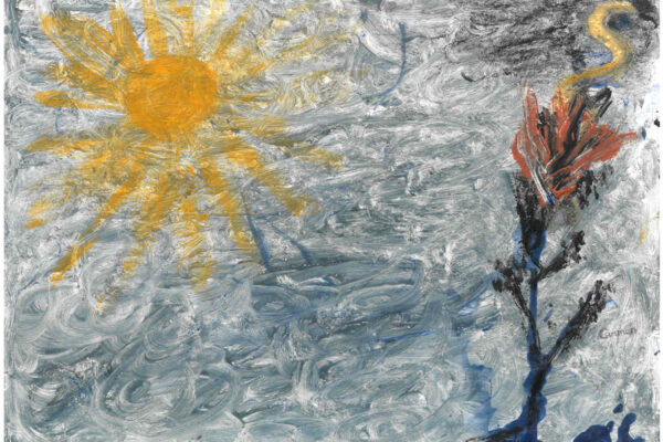 galeria-ecolatras (20) galeria-ecolatras (20)