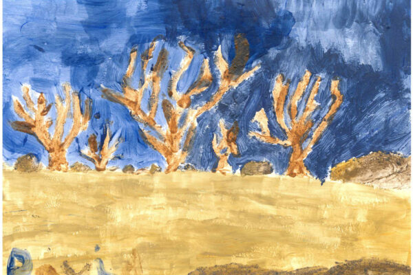 galeria-ecolatras (25) galeria-ecolatras (25)