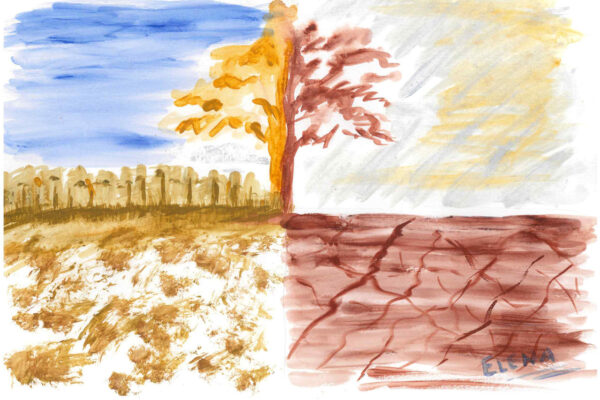 galeria-ecolatras (27) galeria-ecolatras (27)