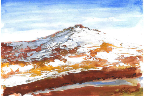 galeria-ecolatras (29) galeria-ecolatras (29)