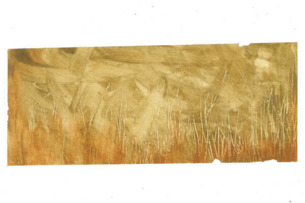 galeria-ecolatras (37) galeria-ecolatras (37)