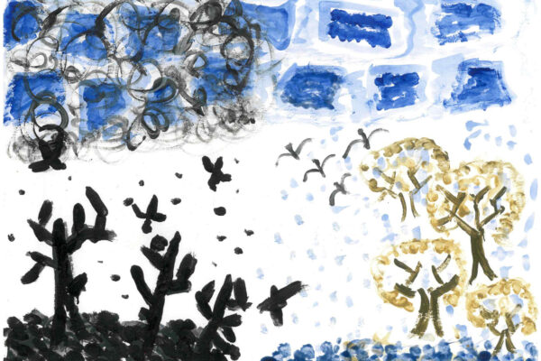 galeria-ecolatras (41) galeria-ecolatras (41)