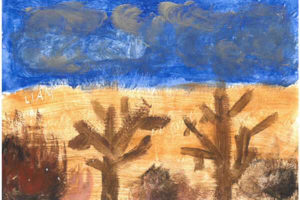 galeria-ecolatras (46) galeria-ecolatras (46)