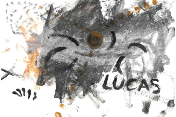 galeria-ecolatras (48) galeria-ecolatras (48)