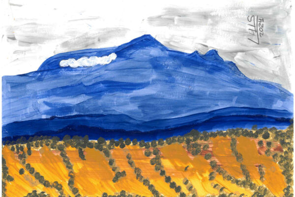 galeria-ecolatras (49) galeria-ecolatras (49)