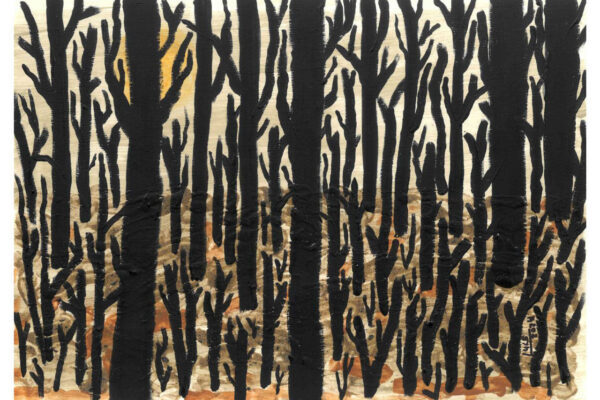 galeria-ecolatras (53) galeria-ecolatras (53)