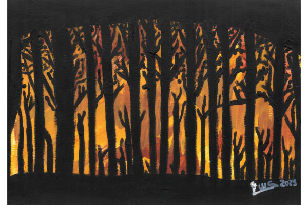 galeria-ecolatras (54) galeria-ecolatras (54)