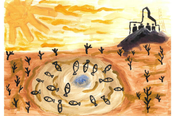 galeria-ecolatras (59) galeria-ecolatras (59)