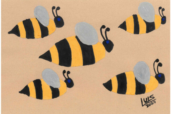 galeria-ecolatras (61) galeria-ecolatras (61)