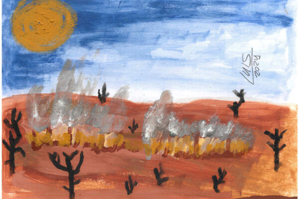 galeria-ecolatras (64) galeria-ecolatras (64)