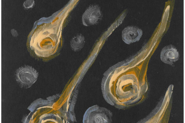 galeria-ecolatras (67) galeria-ecolatras (67)