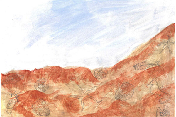 galeria-ecolatras (69) galeria-ecolatras (69)