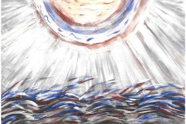 galeria-ecolatras (71) galeria-ecolatras (71)