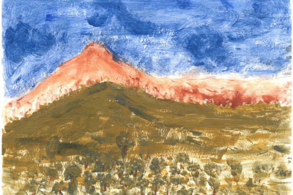 galeria-ecolatras (72) galeria-ecolatras (72)