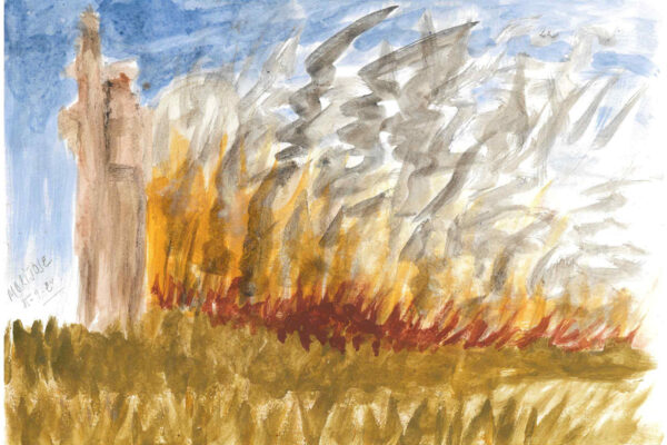 galeria-ecolatras (73) galeria-ecolatras (73)