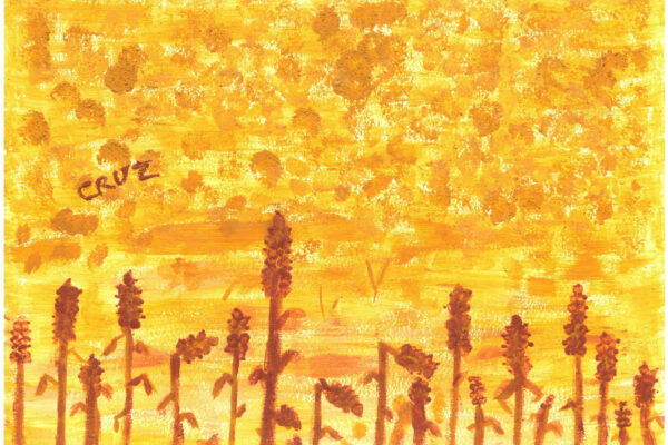 galeria-ecolatras (74) galeria-ecolatras (74)