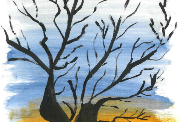 galeria-ecolatras (75) galeria-ecolatras (75)