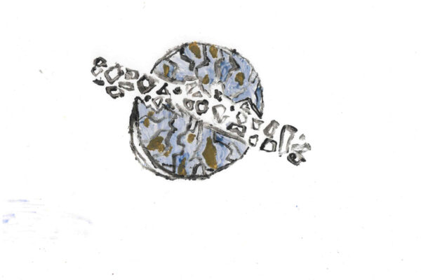 galeria-ecolatras (77) galeria-ecolatras (77)