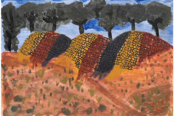 galeria-ecolatras (8) galeria-ecolatras (8)