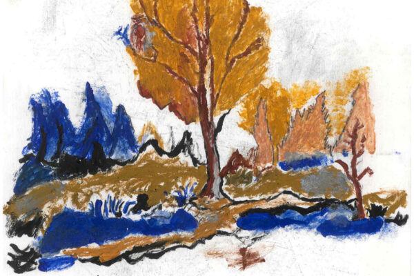 galeria-ecolatras (84) galeria-ecolatras (84)