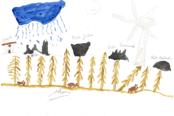 galeria-ecolatras (86) galeria-ecolatras (86)