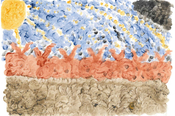 galeria-ecolatras (87) galeria-ecolatras (87)