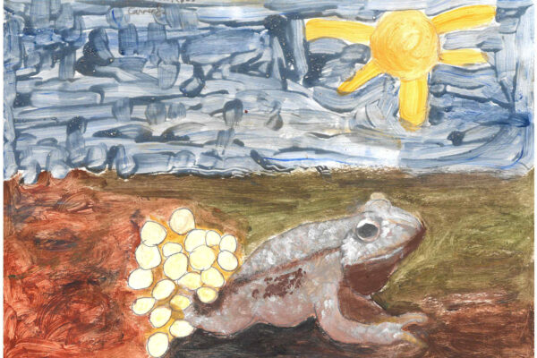 galeria-ecolatras (99) galeria-ecolatras (99)